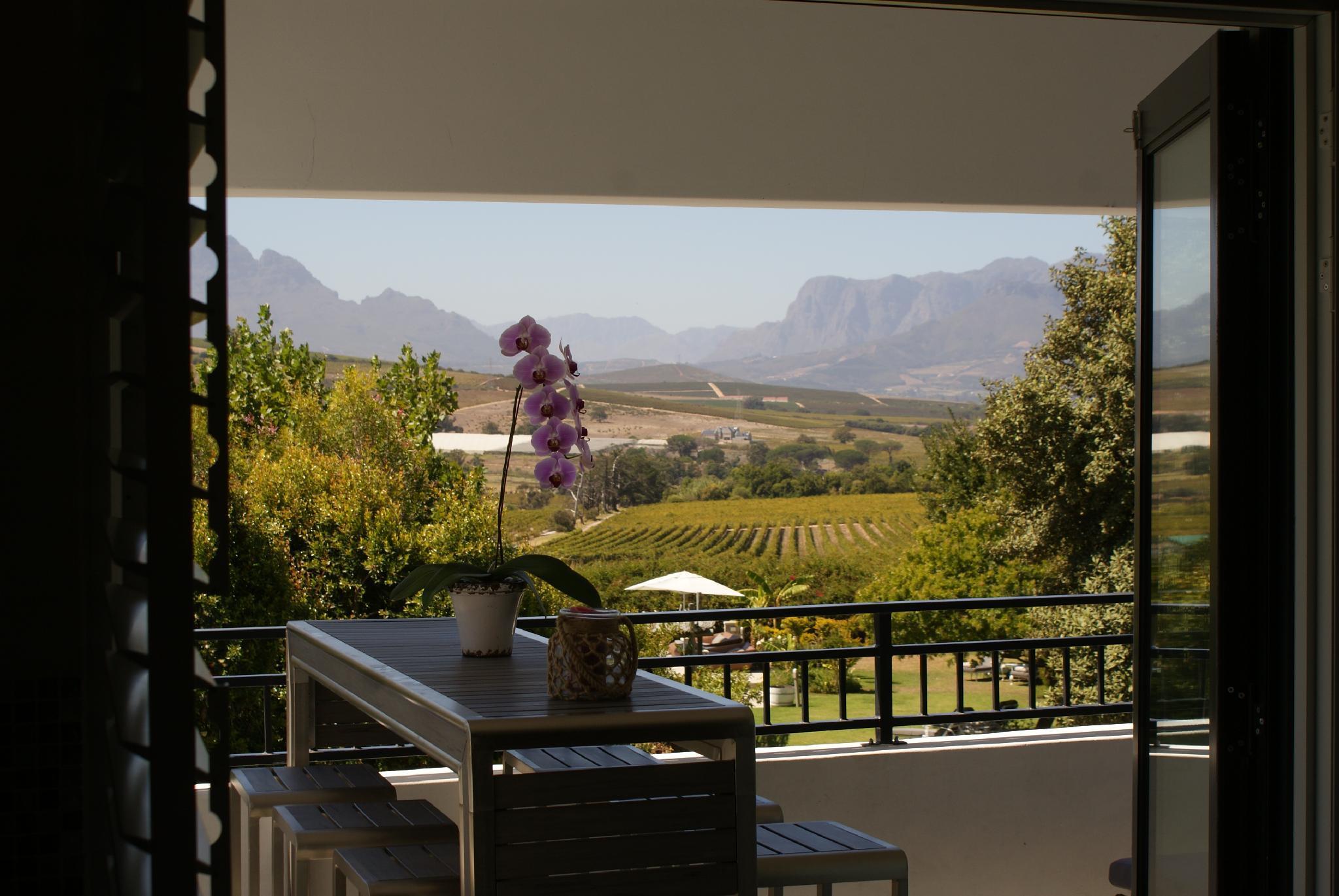Wedgeview Country House & Spa Stellenbosch Ngoại thất bức ảnh